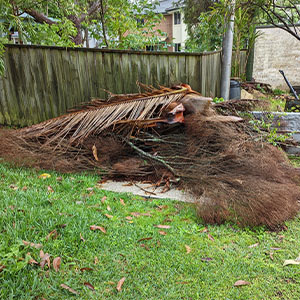 Timber not accepted - garden vegetation