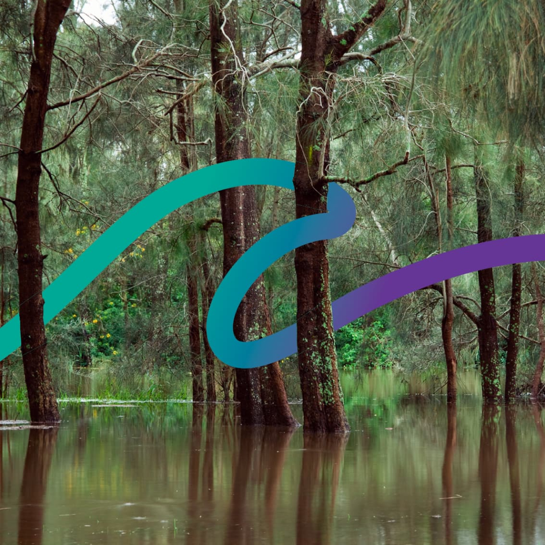 A flooded reserve with a decorative ribbon digitally added to the image.