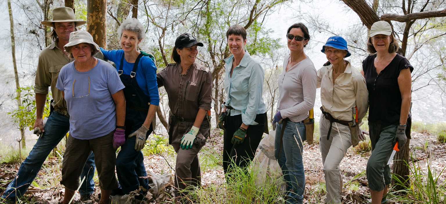 Native Gardening | Northern Beaches Council