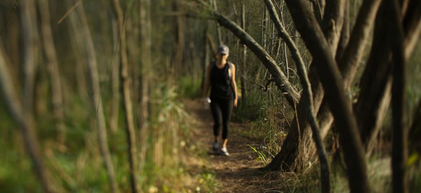 northern beaches mountain bike park