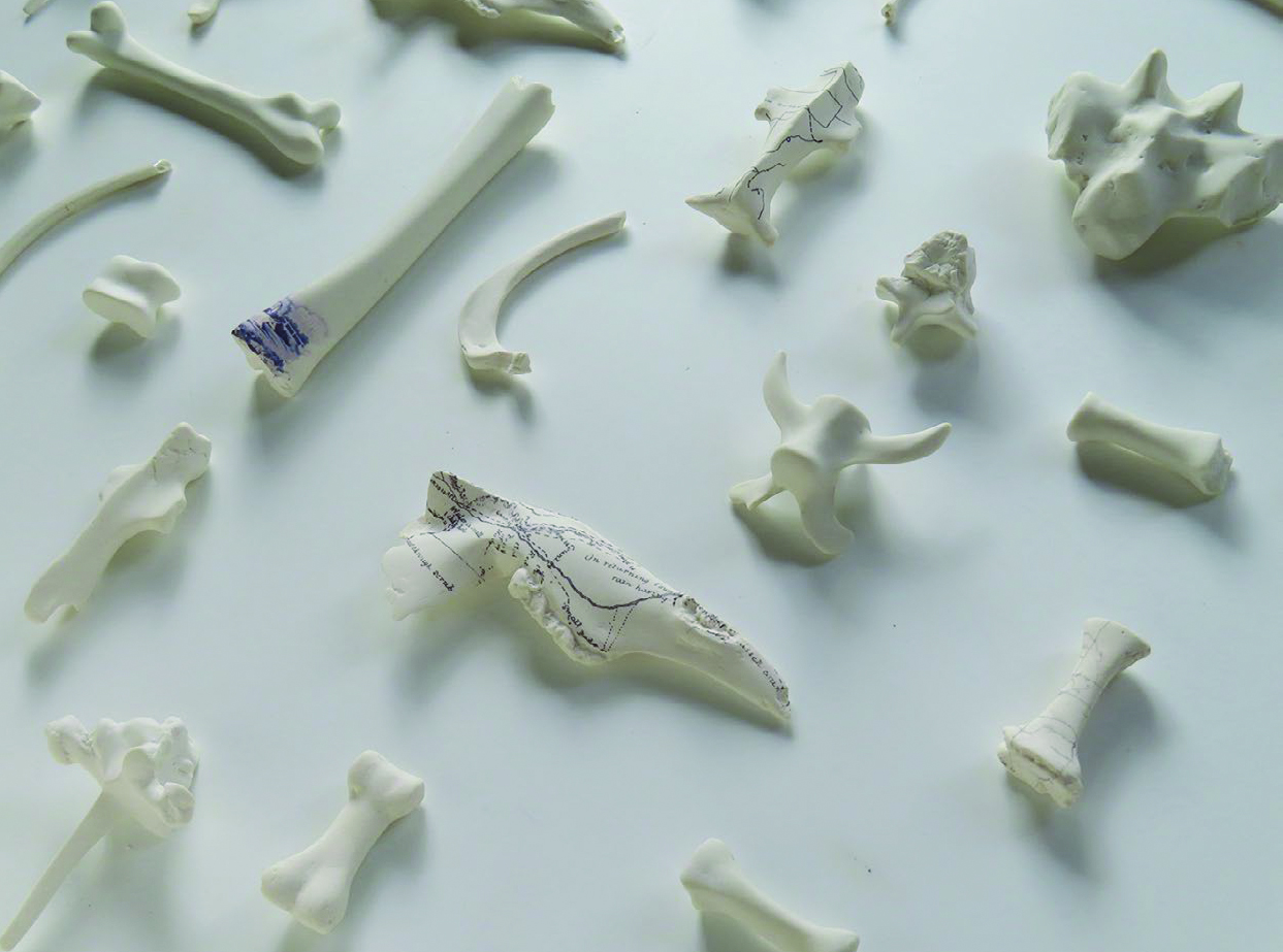 White sculptural ceramic objects that resemble bones
