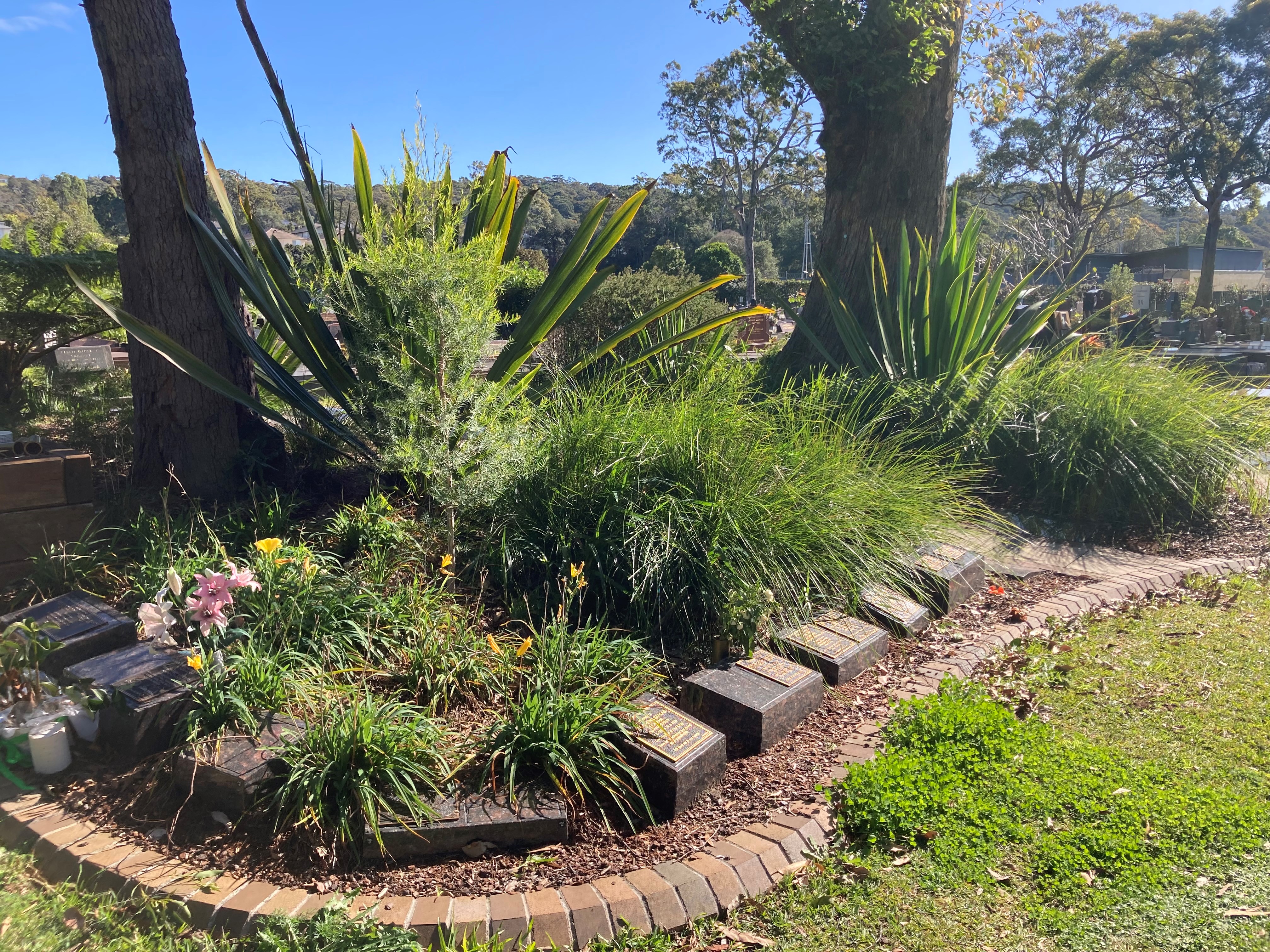 Gum Tree Grove