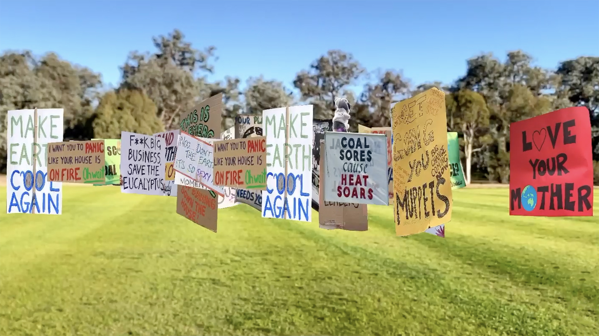 Environmental protest signs