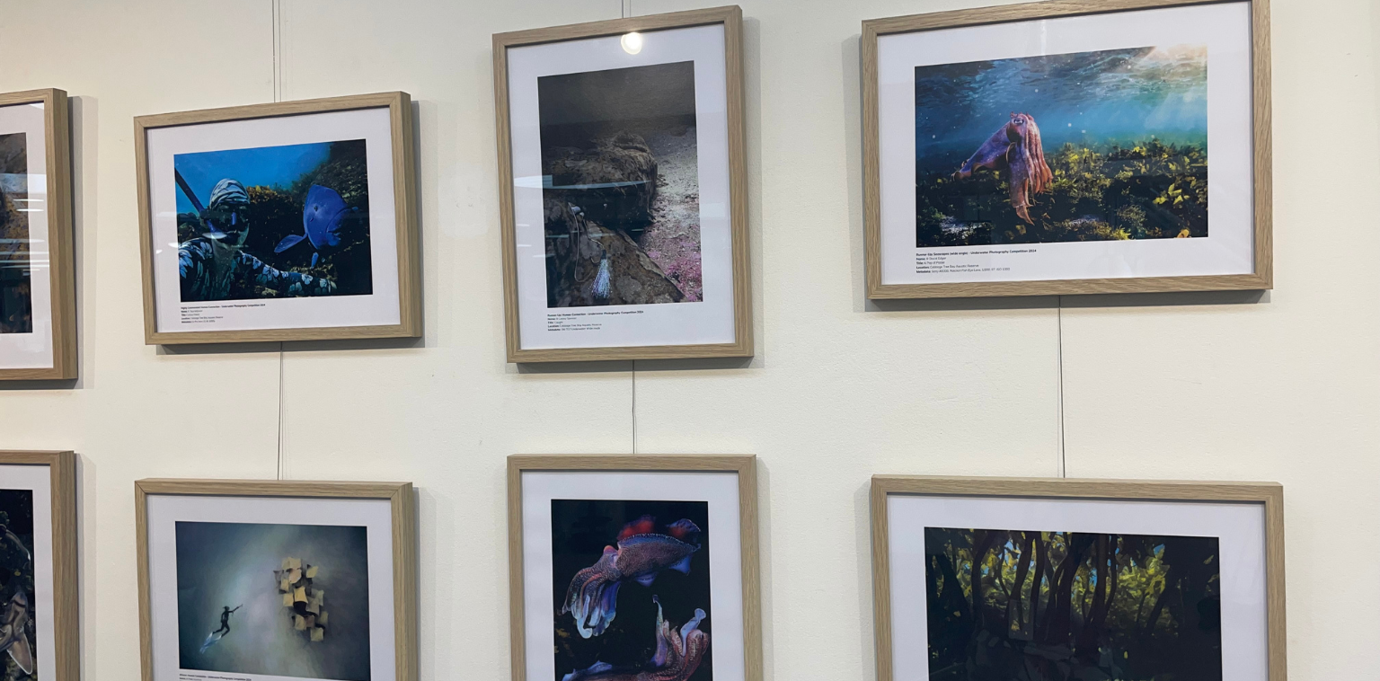 Underwater Photography Exhibition