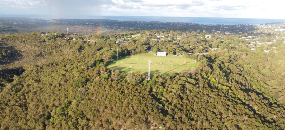 sportsfield surrounded by trees