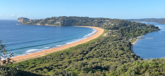 image of trees, dune, ocean and Pittwater looking south from Barrenjoey Headland