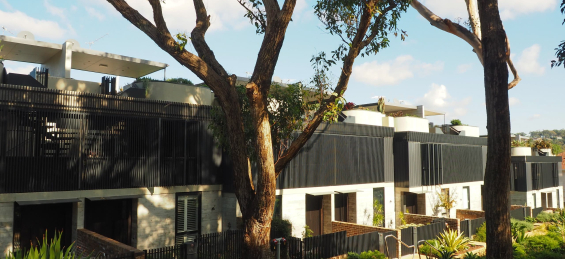 Housing amidst trees