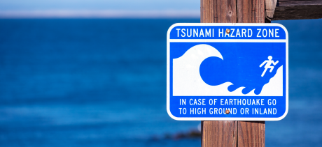 tsunami.png
