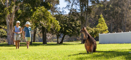 Two children approach a wallaby