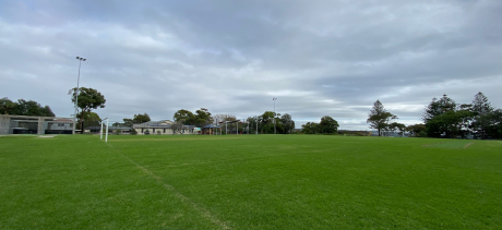 Field with soccer goals