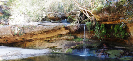 Irrawong Waterfall
