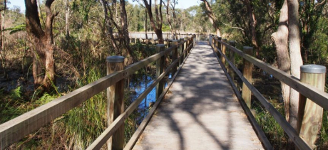 warriewood-wetlands.jpg