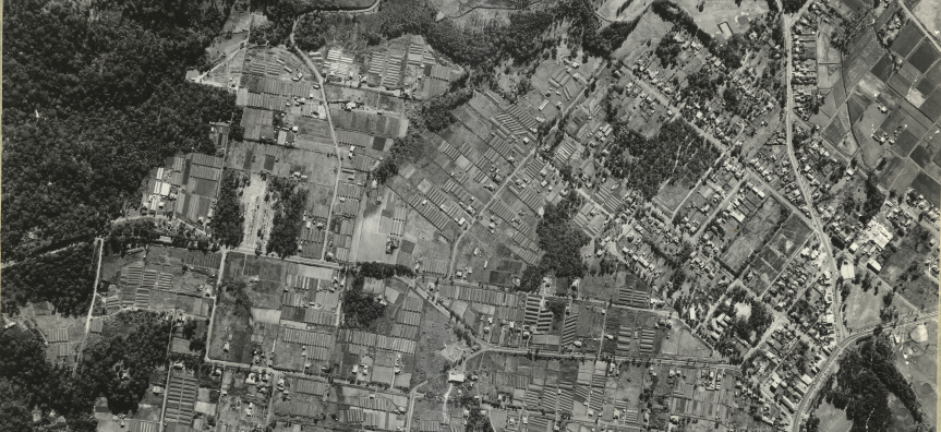 Aerial_map_showing_glasshouses_in_Warriewood_1961.jpg