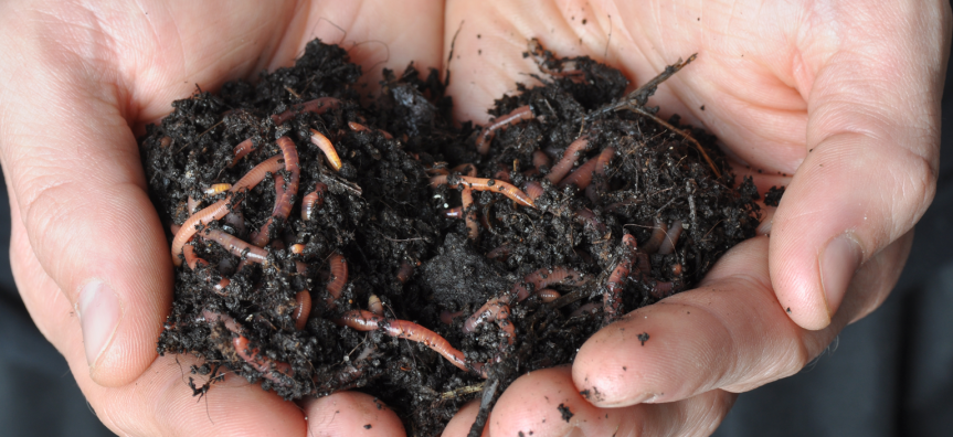 composting.png