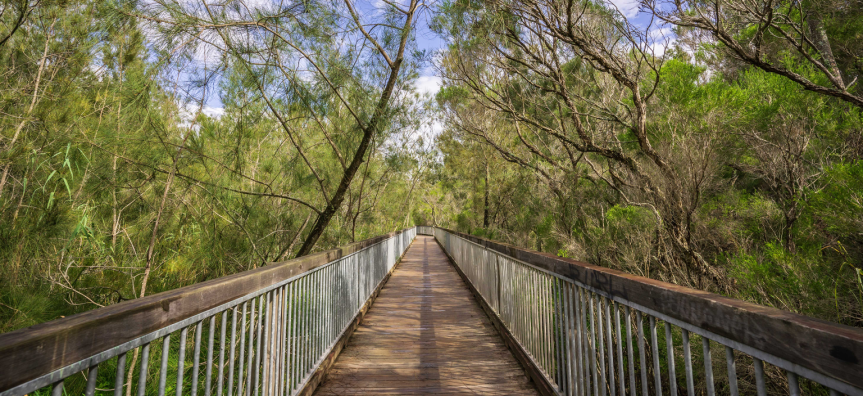 warriewood-wetland-7.png