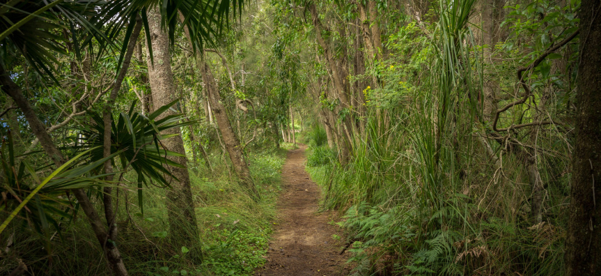 warriewood-wetland-9.jpg