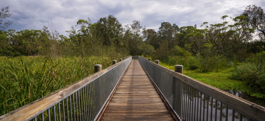 warriewood-wetland2.jpg