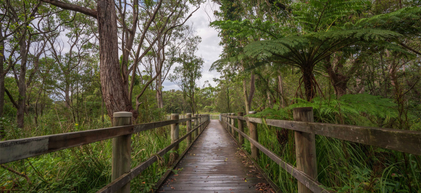 warriewood-wetland3.jpg