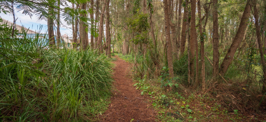 warriewood-wetland8.jpg