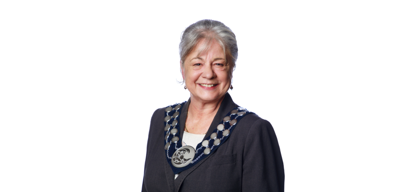 Mayor Sue Heins