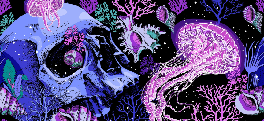 Illustrated skulls and jellyfish