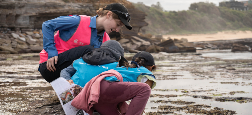 Children exploring rock pools 