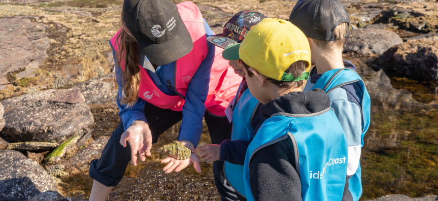 Children exploring rock pools