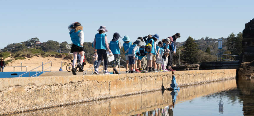 Children exploring rock pools