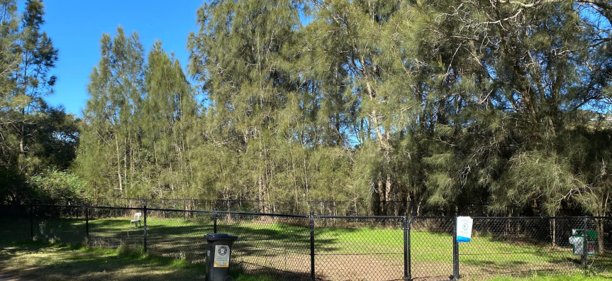 small fenced off-leash dag area
