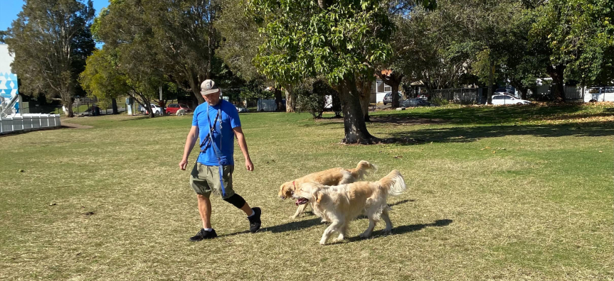 Man and 2 golden retrievers at LM Graham Reserve