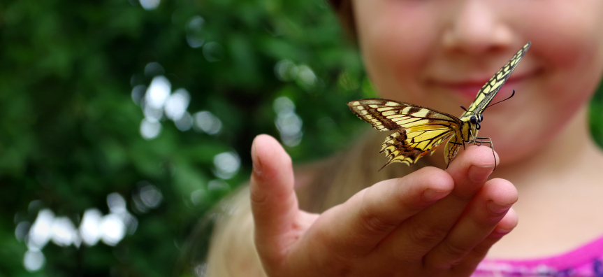child with butterfly