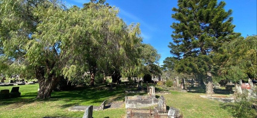 Manly Cemetery with trees