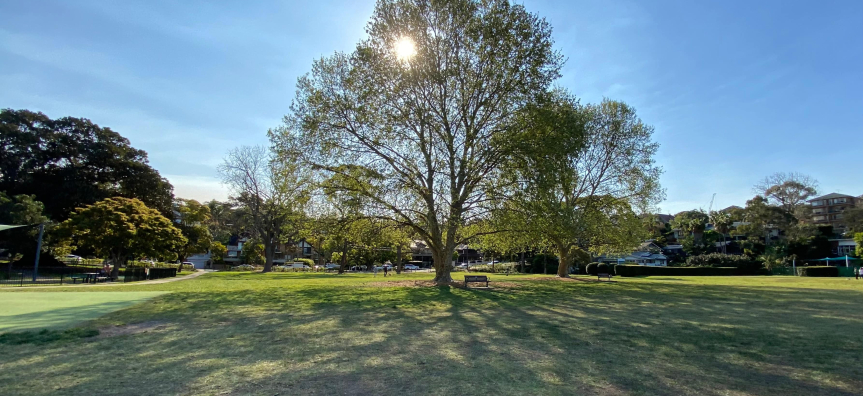 Tania park with sun shining through the tree