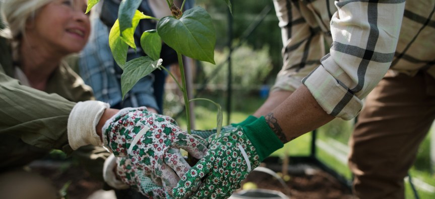 picture of two people in a community garden