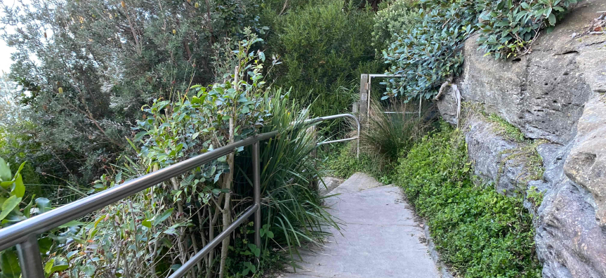 concrete pathway through bushland