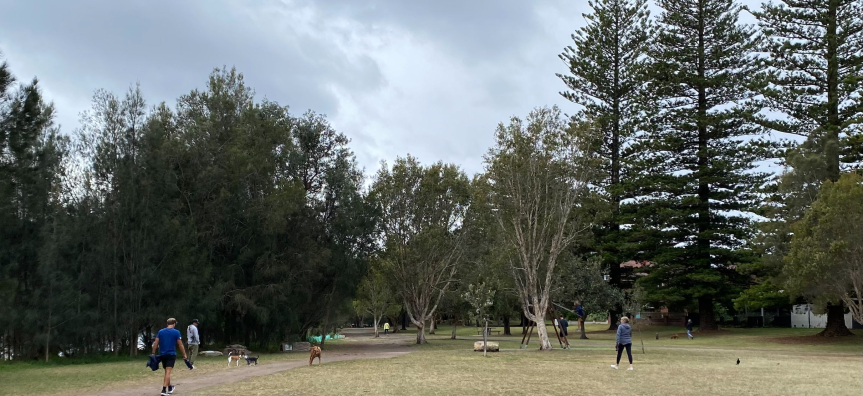 People and dogs walking in park 