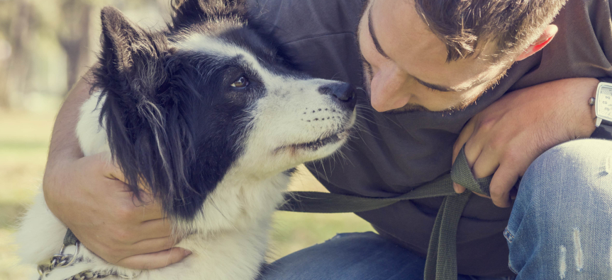 Man with face close to border collie