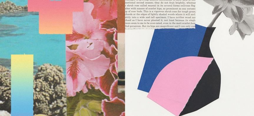collage