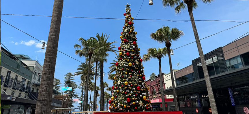 A decorate Christmas tree on Manly Corso lined with palm trees