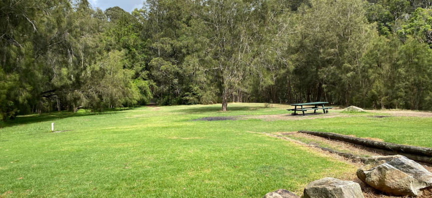 grass with a picnic table and trees in background 