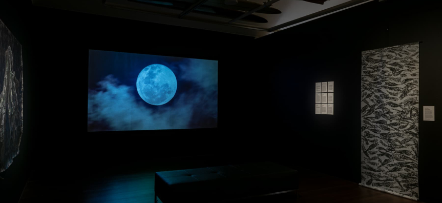 Photo of a moon installation at an exhibition