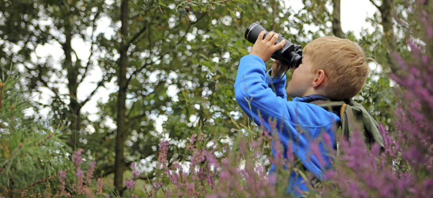 Bird-Watching-Blog-Image-1230x692.jpeg