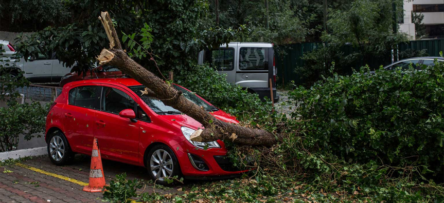 storm-car-tree.jpg