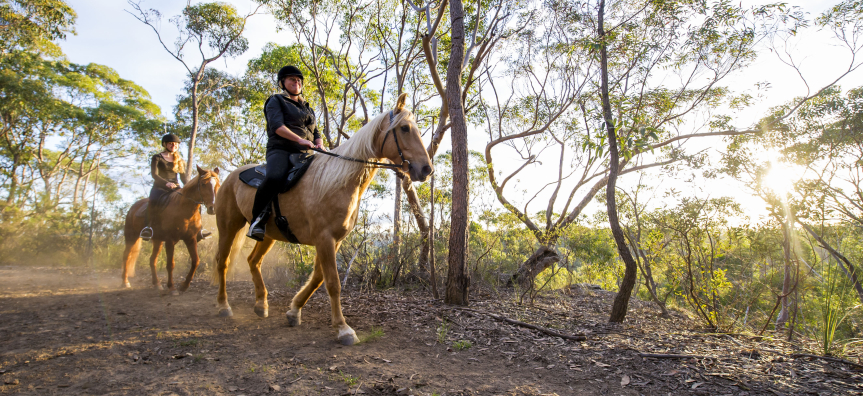 Horse_Riding_photo.jpg