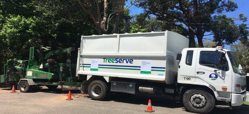 tree-maintenance.jpg