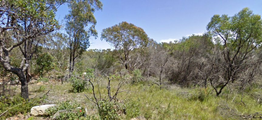 Ku-Ring-Gai-Chase-National-Park-Mount-Colah_cropped.jpg