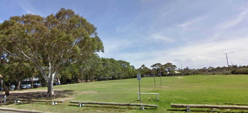 allambie-heights-oval-playing-field-cropped.jpg