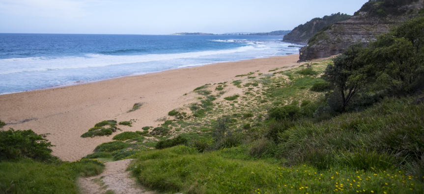 Turimetta Headland.jpg