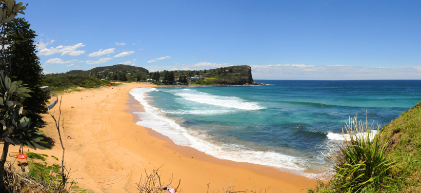Avalon-Beach.jpg