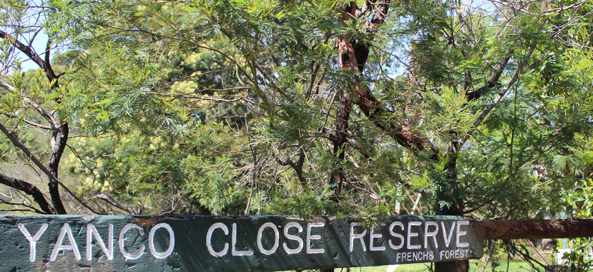 yanco-bushland-reserve.jpg